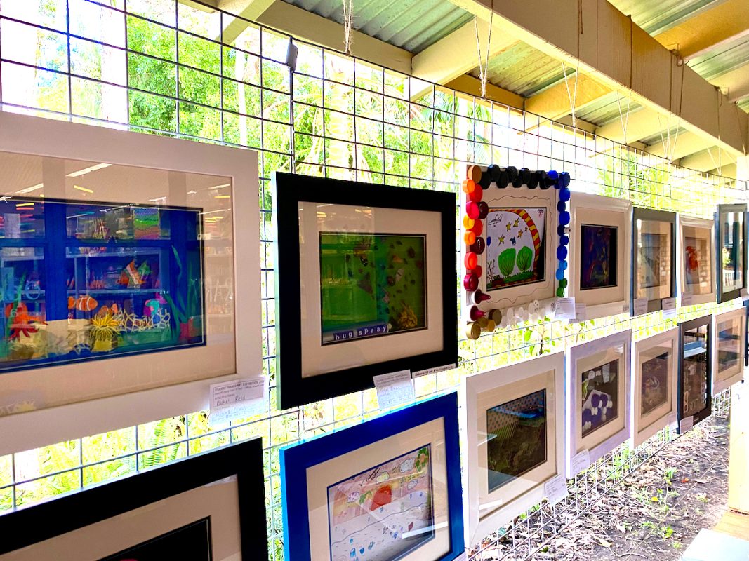 'Framed' Student Art Exhibition Amazing! 1