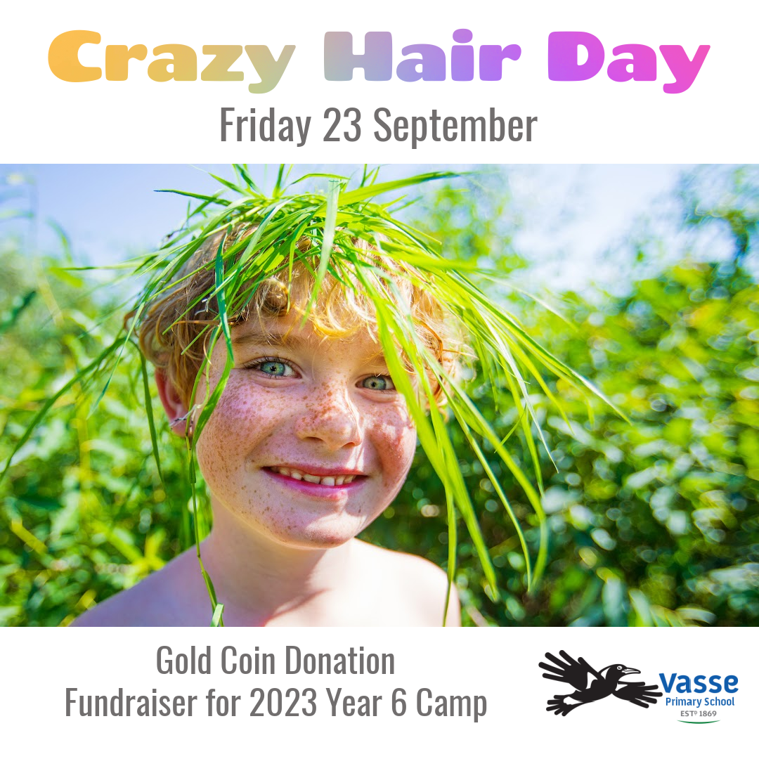 Crazy Hair Day - 2023 Yr 6 Camp Fundraiser 1