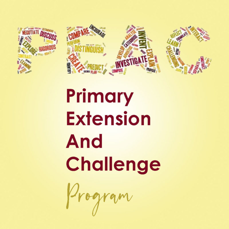 Year 3'S Peac Challenge Day Term 2 1