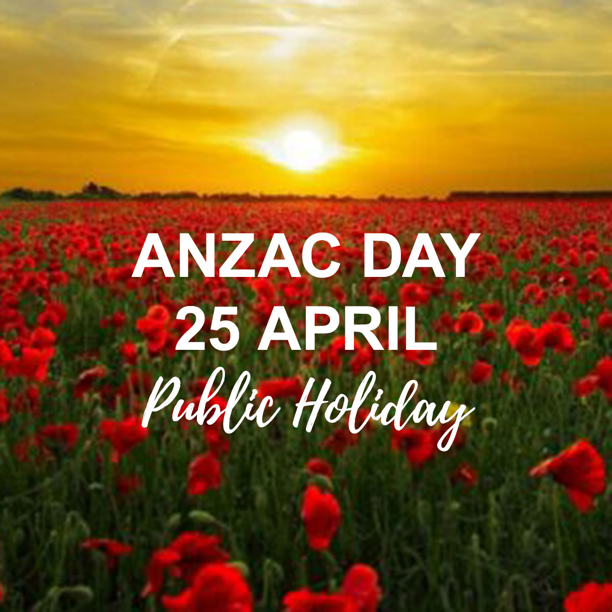 Public Holiday - Anzac Day 1
